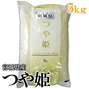 yߘa6NYz   {錧Y P 5kg   R   ͂ {錧YPyTDzyTKRzy[J[iz