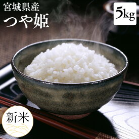 楽天市場 お米 5キロの通販