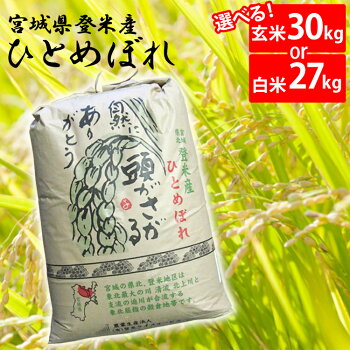 ���ơ����¸�ǯ�������٤롪���ơ����Ƶܾ븩���ҤȤ�ܤ�30kg��30�����ҤȤ�ܤ����Ƹ��Ƥ��Ƥ��ӥҥȥ�ܥ�ܾ뻺30kg��TD�ۡ���TRS�ۡڥ᡼����ľ���ʡ�