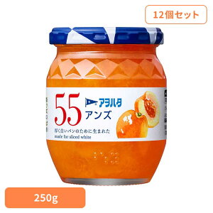 y12Zbgz55 AY 250G W  ʎ AIn^ r 55 250g  t[c ʕ An^