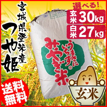 新米【令和元年産】選べる!玄米・精米宮城県産つや姫30kg送料無料つや姫玄米精米米お米つやひめ30kg30キロこめ宮城宮城県【TD】【米TRS】【メーカー直送品】