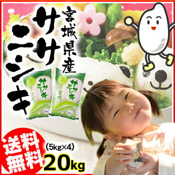 【令和元年産】宮城県産ササニシキ20kg(5kg×4)送料無料ササニシキ20kg米白米お米コメご飯ささにしきササニシキ20kg20キロ【TD】【TRS】【メーカー直送品】【RCP】【HLS_DU】
