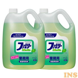 2個セット ファミリーフレッシュ 4.5kg 業務用 洗剤 食器 台所洗剤 油汚れ 2本セット Kao ライムの香り プロフェッショナル 植物由来 【D】 [2306SX]