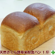 【国産】天然 さくら 酵母 米粉 食パン 1斤 天然酵母 米粉パン 天然酵母パン 天然酵母米粉パン お米パン …