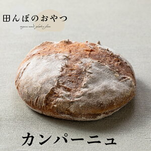 Ηq Jp[j Oet[ B[K ăp 茺 sgp sgp isgp R͔|