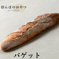 バゲット 米粉パン グルテンフリー ヴィーガン 天然酵母パン 白砂糖不使用 卵不使用 乳製品不使用 自然栽…