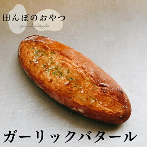 K[bNo^[ ĕp Oet[ B[K 100 ăp VRyp sgp sgp isgp R͔|