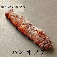 パンオノア 4毒抜き対応 クルミを練り込んだパン グルテンフリー ヴィーガン 玄米パン 白砂糖不使用 卵不…