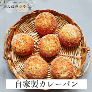 ƐĂJ[pi2ZbgjR͔| ĕp sgp sgp isgp _