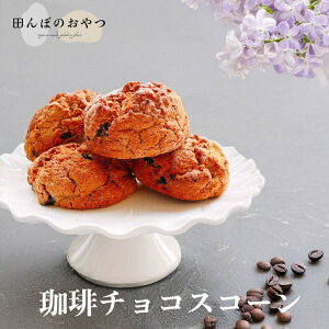 `RXR[ Oet[ B[K sgp isgp sgp ĕXR[ R͔|ĕ