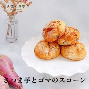 ܈ƃS}̃XR[ Oet[ B[K sgp isgp sgp ĕXR[ R͔|ĕ