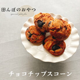 チョコチップスコーン グルテンフリー ヴィーガン 卵不使用 乳製品不使用 砂糖不使用 米粉スコーン