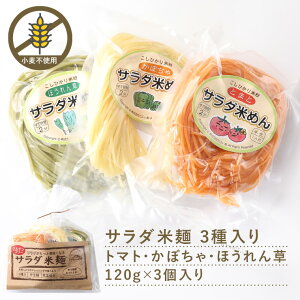 T_Ė Zbg 3F Ė ĕ Ė Ă߂ g}g ق ڂ 120g×3 ĕ B[K H r[K Oet[  Ђ  wV[H ĕ[