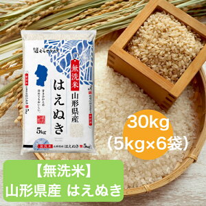 yߘa7NYz yz  R` ͂ʂ 5kg 10kg 15kg 20kg 30kg   ނ点 ނ点CX CX Mtg  Y   nGkL  5L 10L 15L 20L 30