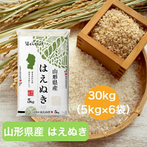 yߘa7NYz yz R` ͂ʂ 5kg 10kg 15kg 20kg 30kg   ނ点 ނ点CX CX Mtg  Y  VH  nGkL  5L 10L 15L 20L 30