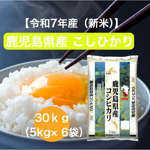 yߘa7NYz yz  Ђ 5kg 10kg 15kg 20kg 30kg   ނ点 ނ点CX CX Mtg  Y  ܂  RVqJ  5L 10L 15L 20