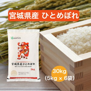 yߘa7NYz yz {錧 ЂƂ߂ڂ 5kg 10kg 15kg 20kg 30kg   ނ点 ނ点CX CX Mtg  Y  ЂƂ߂ڂ qg{  5L 10L 15L 20L 30