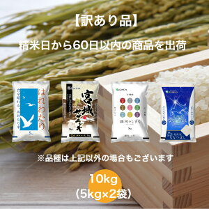 �y�󂠂�i�z �y���������z �����_���Z�b�g 10kg �X���Y �͂�킽�� �{�錧�Y �T�T�j�V�L �V�����Y �����Ђ��� �k�C���Y �ȂȂڂ� �{�錧�Y ���Đ��� ���� ���� �ނ点 ���Y ���� 10�L�� 