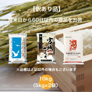 �y�󂠂�i�z �y���������z �����_���Z�b�g 10kg �X���Y �͂�킽�� �{�錧�Y �T�T�j�V�L �{�錧�Y �ЂƂ߂ڂ� ���� ���� �ނ点 ���Y ���� 10�L�� �� �R�� ���� �ނ点���C�X