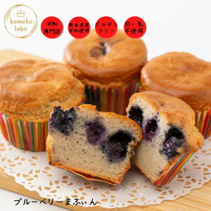 ĕَq  ĕ }tB u[x[ Oet[ AM[Ή sgp isgp ̎P  _CGbg