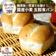 常温 日持ち 無添加 小さい 食パン 国産小麦 五穀パン 2個 ちぎりパンパン ロングライフパン 天然酵母 ミ…