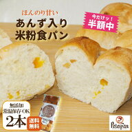 今だけ＼半額セール 50％OFF／ 2000円ポッキリ 無添加 あんず入り 米粉食パン 2本 常温 日持ち 米粉パン …