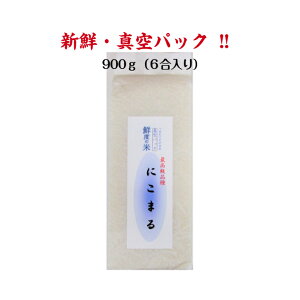 V ꌧY ɂ܂ Nx̕900g ߘa6NY 6 ^pbN   Mtg VN  Ε    j v[g 5 ikCEꕔ