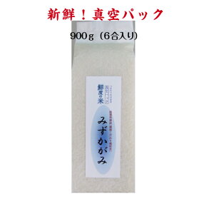V ߘa6NY ݂ Nx̕900g 6 ^pbN     ꌧY  VN  ɂ  j oY  z j Ԃ 蕨 p 