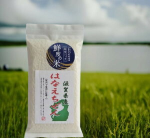 V VĂ͂Ȃ Nx̕ 300g ߘa7NY ^pbN       Mtg j j zA av[g ꌧY   O