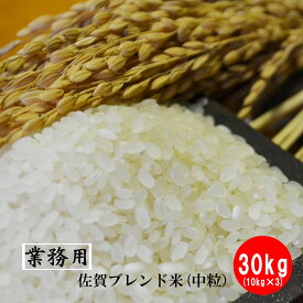 【業務用米】九州佐賀県産ブレンド米 30kg（10kg×3）（送料無料）米　お米