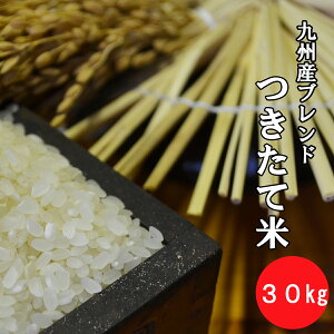 �y���������I�z��B�Y�u�����h �����ĕ� �@30kg�i10kg×3�j�y���������@�ꕔ�n�揜���z�y��B�Y�@�āz�y�ā@���āz�y�����z�y�����z�y���������āz�y�󂠂�z