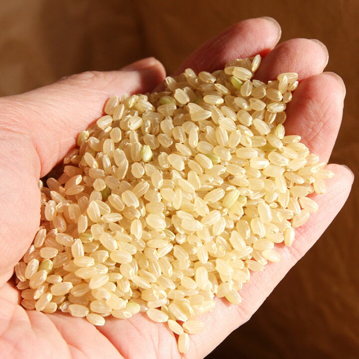 楽天市場 お米屋さんの 選び取り もできる 一升米 1合150g 10袋 1升 選び取り 選び取りカード 一升餅 の代わり 一升米 一生餅 お祝い 初誕生 1歳 一歳 誕生日 誕生日祝い イベント 赤ちゃん ベビー お米 新米 コシヒカリ 一等米 小分け おしゃれ お洒落 かわいい 人気