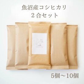 魚沼産コシヒカリ 送料無料 新米 令和7年産 特A受賞 新生活 景品 お土産 白米 米小分け 2合 セット 一人暮らし 少量 新生活 大学生 祖父母 便利 実用的 ポスト投函 時短 家事 挨拶 コメノコト komenokoto おしゃれ ブランド米 こしひかり お米 引っ越し ギフト 贈答用 粗品