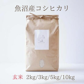 玄米 げんまい 魚沼産コシヒカリ 5kg 令和7年産 特A受賞 送料無料 お米 2kg 3kg 10kg コメノコト こしひかり 酵素玄米 発芽 炊き方 離乳食 健康食 ダイエット ヘルシー 美容 腸活 備蓄 ギフト おしゃれ 贈り物 入学 卒業 祝い 贈答 内祝い 減量
