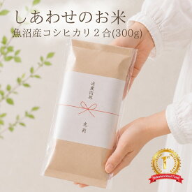 内祝い 出産内祝い 米 プチギフト お祝い 2合 300g 1000円ポッキリ しあわせのお米 送料無料 引っ越し 挨拶 粗品 特A受賞 魚沼産コシヒカリ コメノコト komenokoto 名入れ 感謝 祖父母 親戚 友達 職場 魚沼産 こしひかり プレゼント お礼 贈答品 贈り物 1000円 おしゃれ 千円