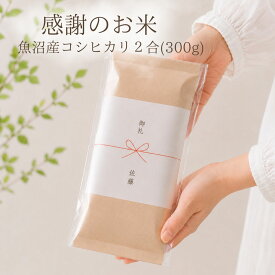 御礼 お返し お礼の品 魚沼産コシヒカリ 1000円ポッキリ 送料無料 2合 300g 感謝のお米 コメノコト プチギフト 粗品 志 香典返し 法要 退職 異動 転勤 送別会 新生活 産休 定年 工事 挨拶回り 手土産 おしゃれ 1000円以下 贈り物 プレゼント komenokoto 実用的 消耗品