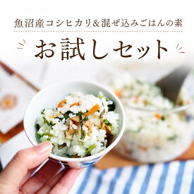 お試し 送料無料 訳あり 食品 1000円以下 1500円 お試しセット お取り寄せ 試食セット 無添加 国産 子ども 個包装 魚沼産コシヒカリ 炊き込みご飯 素 混ぜご飯 混ぜ込みご飯 こしひかり ブランド米 米 2合 ギフト グルメ ごちそう 時短 主婦 ポイント消化 選べる