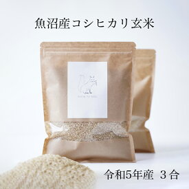 スーパーセール 割引中！ お試し 玄米 3合 450g 特A受賞 新米 令和5年産 魚沼産コシヒカリ 送料無料 コメノコト komenokoto お祝い 内祝い 魚沼産 こしひかり ブランド米 1000円ポッキリ プレゼント ギフト 贈答用 贈答品 贈り物 粗品 出産祝い 産休 結婚 出産 げんまい