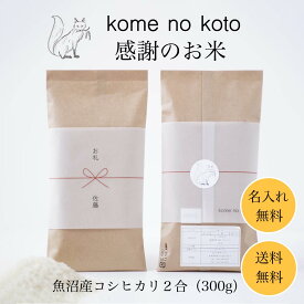 御礼 お返し お礼の品 魚沼産コシヒカリ 1000円ポッキリ 送料無料 2合 300g 感謝のお米 プチギフト 母の日 粗品 志 香典返し 法要 退職 異動 転勤 送別会 新生活 引っ越し 産休 定年 工事 挨拶回り 手土産 おしゃれ 1000円以下 贈り物 プレゼント コメノコト komenokoto