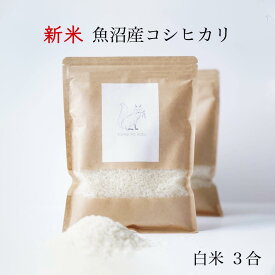 新米 令和7年産 魚沼産コシヒカリ 送料無料 特A受賞 1000円ポッキリ 景品 粗品 来場記念 挨拶 コメノコト komenokoto お試し 3合 450g プチギフト お祝い 内祝い お返し 1000円 魚沼産 こしひかり ブランド米 贈答用 贈答品 贈り物 出産祝い 産休 結婚 出産