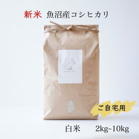 新米 魚沼産コシヒカリ 令和7年産 お米 白米 送料無料 特A受賞 お歳暮 お年賀 新年会 寒中見舞い 内祝い 入学祝い 卒業祝い お返し 出産祝い 景品 粗品 ノベルティ 来場記念 挨拶 コメノコト komenokoto おしゃれ ブランド米 こしひかり 2kg 3kg 5kg 10kg 3000円 5000円