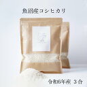 魚沼産コシヒカリ 送料無料 特A受賞 新米 令和6年産 景品 粗品 来場記念 挨拶 コメノコト komenokoto お試し 3合 450g プチギフト お祝い 内祝い お返し 1000円 魚沼産 こしひかり ブランド米 1000円ポッキリ 贈答用 贈答品 贈り物 出産祝い 産休 結婚 出産