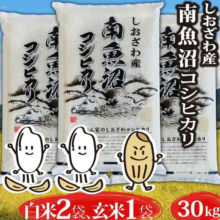楽天市場】米 令和6年 コシヒカリ 新潟県 南魚沼産 魚沼産コシヒカリ  