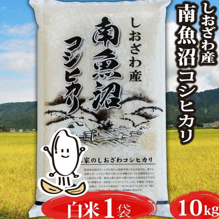 楽天市場】＼3%OFFクーポン配布中／ 米 令和7年 コシヒカリ 新潟県 