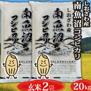 y݌ɌŏIsz ߘa6N RVqJ V 싛Y RVqJ  20kgi10kg×2܁joד | Pꌴ      20L Y  RVq