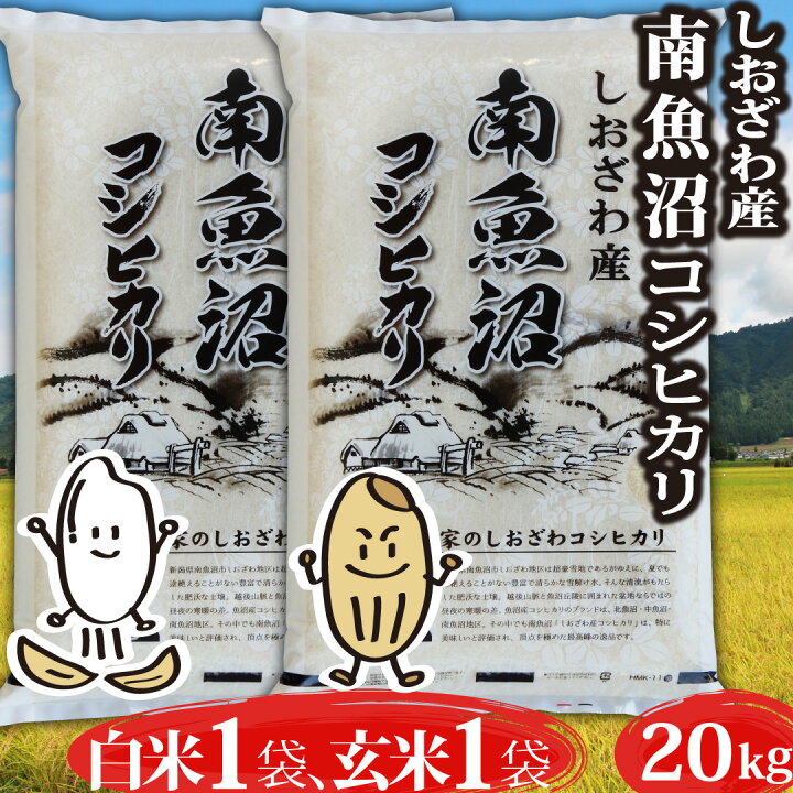 楽天市場】米 令和6年 コシヒカリ 新潟県 南魚沼しおざわ産 コシヒカリ  