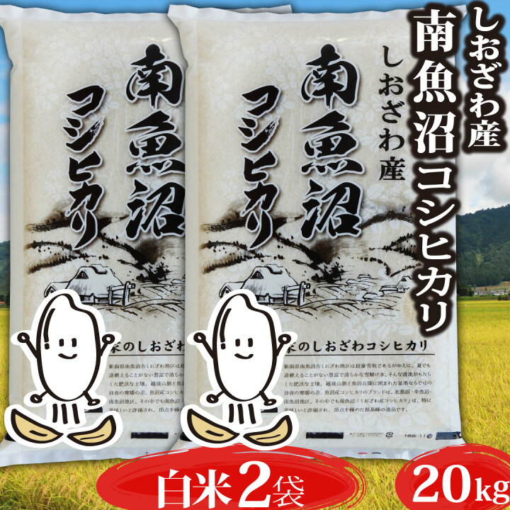 楽天市場】米 令和6年 コシヒカリ 新潟県 南魚沼しおざわ産 コシヒカリ  