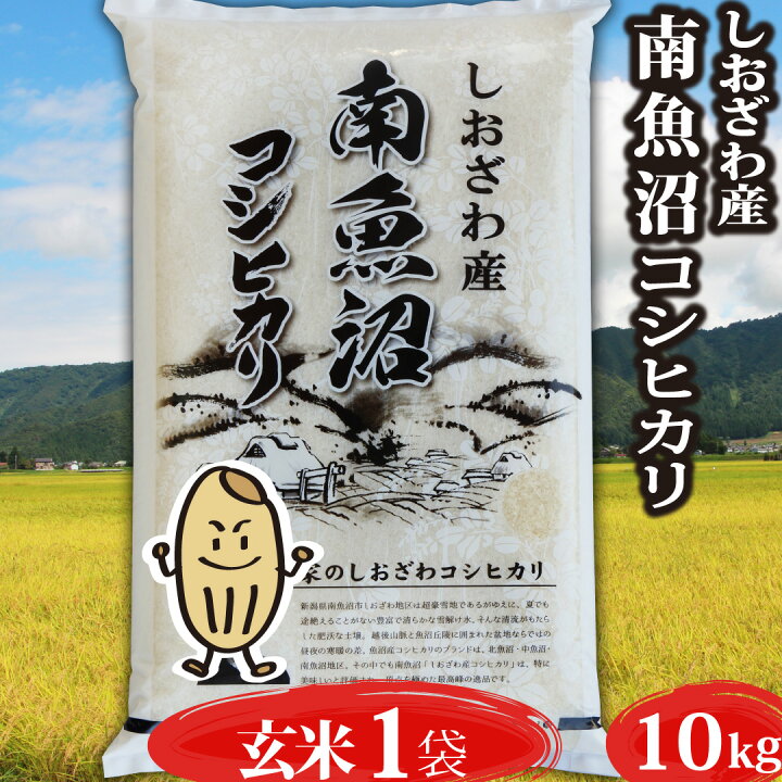 楽天市場】新米 令和6年産 コシヒカリ 新潟県 南魚沼産 魚沼産  
