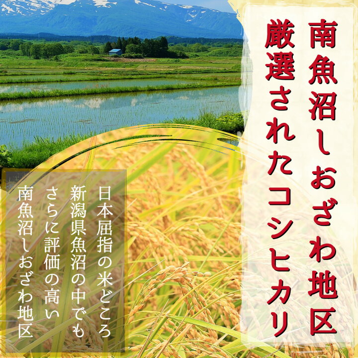 楽天市場】米 令和6年 コシヒカリ 新潟県 南魚沼産 魚沼産コシヒカリ  