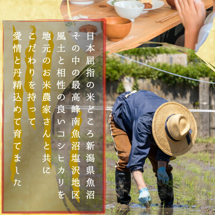 楽天市場】米 令和6年 コシヒカリ 新潟県 南魚沼産 魚沼産コシヒカリ  